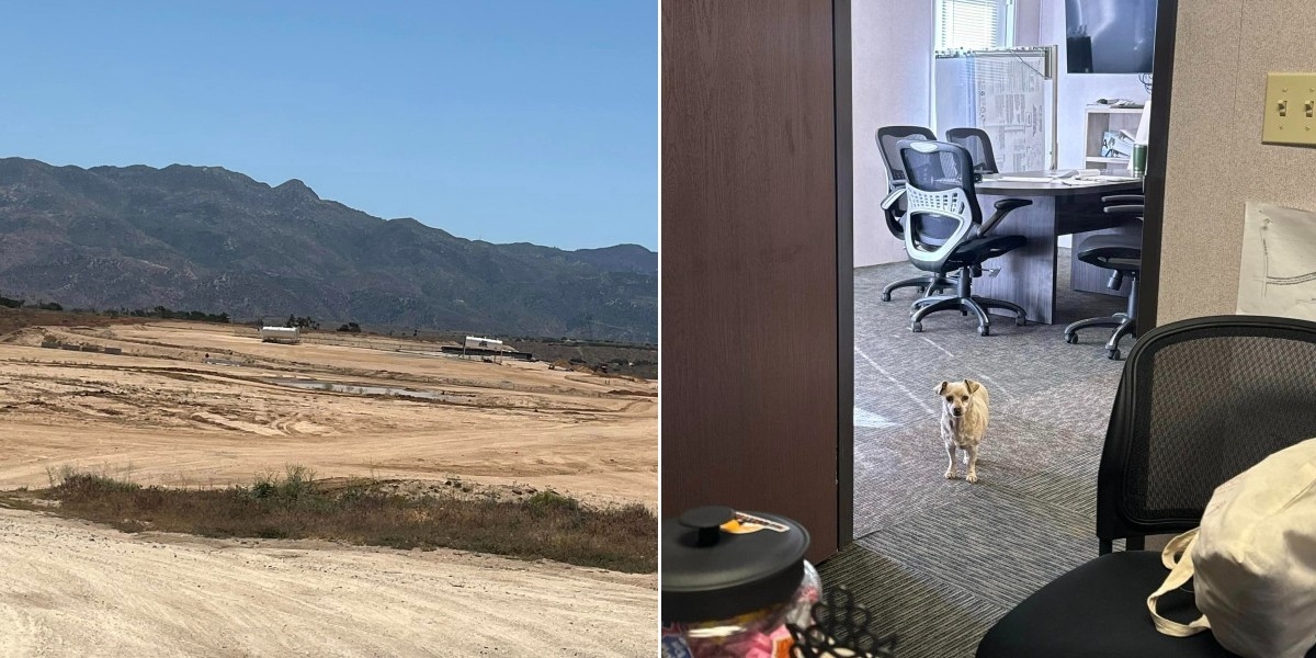 Dog Dumped In Desert Finds Construction Site — Then Begs Workers To Save Her