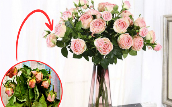 1 tip to keep flowers fresh longer that you may not know