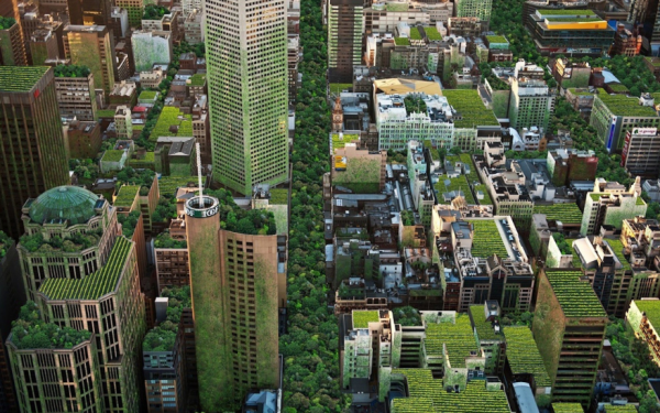 Why is the Swiss city of Basel making it mandatory to plant trees on rooftops?