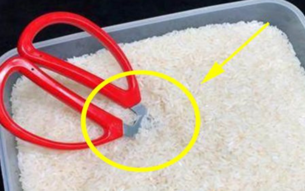 When you put scissors in the rice bin, it will bring many benefits.