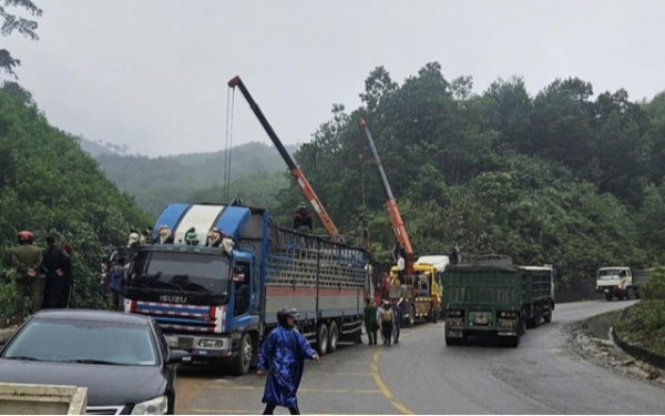 Truck carrying cows lost control and crashed into hill, driver died