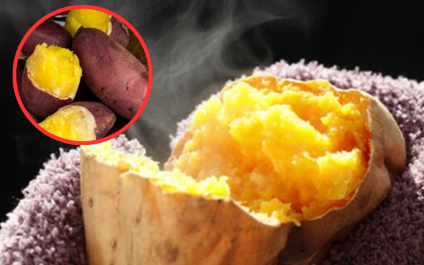 Check out the wonders of sweet potatoes!