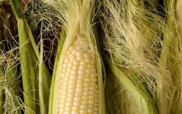 A part of corn that is often thrown away, unexpectedly 'as good as ginseng'