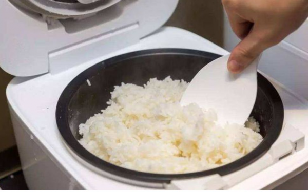 Can you eat rice left in an electric rice cooker overnight?