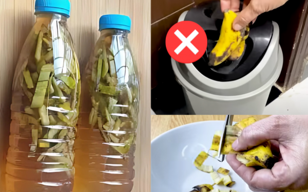 The hidden power of banana peel