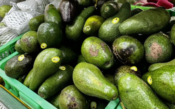 Avocado: A Natural Ally in Cancer Prevention