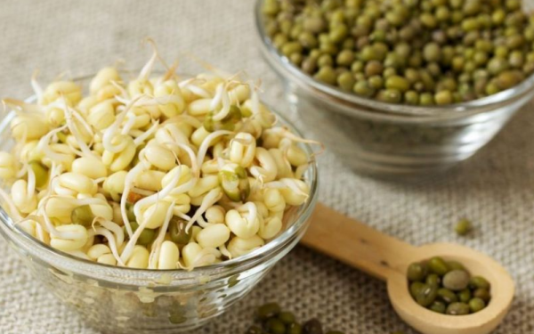 The Hidden Dangers of Soybean Sprouts