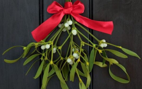 The Significance of Mistletoe in Christmas Traditions