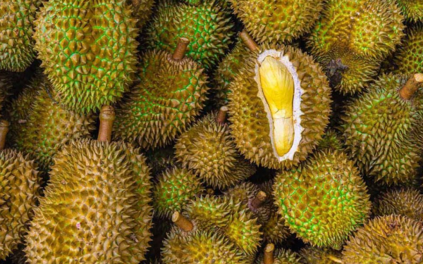 Two Types of People Who Should Avoid Eating Durian