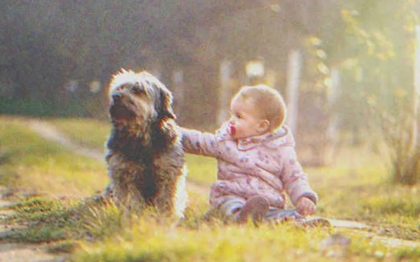 Man Hears His Dog Barking from Afar, Finds It Sitting near an Abandoned Baby – Story of the Day