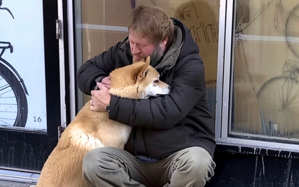 Dog Goes to Closed Store Daily then Leaves, One Evening Poor Boy Notices and Follows It — Story of the Day