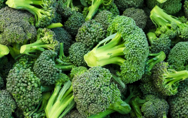 Recalled Broccoli Threatens 20 States as FDA Raises Risk to Highest Level